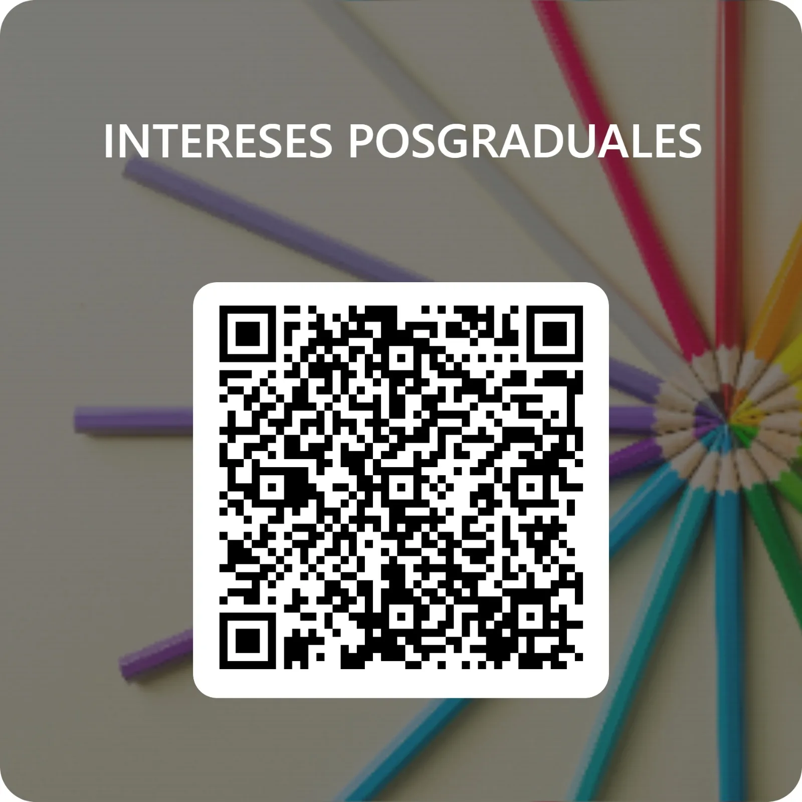 WhatsApp Image 2025-09-09 at 10.49.35 AM